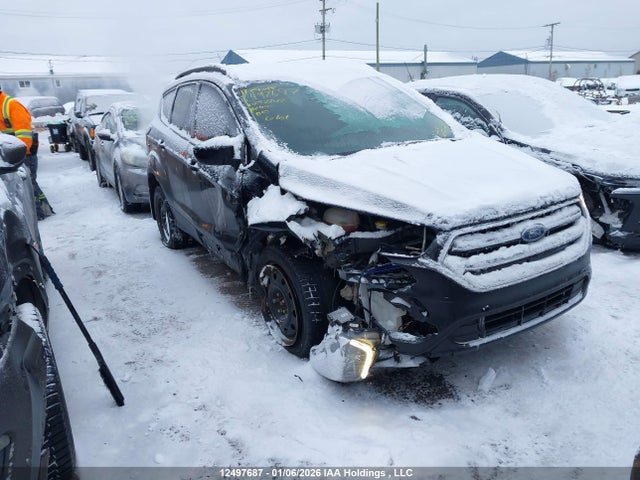 1FMCU9G91HUC82742 Ford Escape