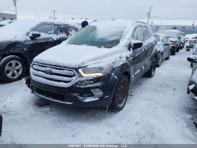 1FMCU9G91HUC82742 Ford Escape