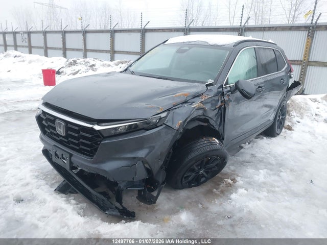 2HKRS4H52RH114557 Honda Cr-v Sport
