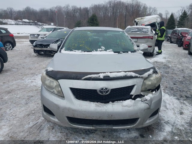 12498187 :رقم المزاد ، 2T1BU4EE3AC268511 vin ، 2010 Toyota Corolla S/le/xle مزاد بيع