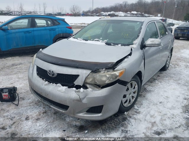 12498187 :رقم المزاد ، 2T1BU4EE3AC268511 vin ، 2010 Toyota Corolla S/le/xle مزاد بيع