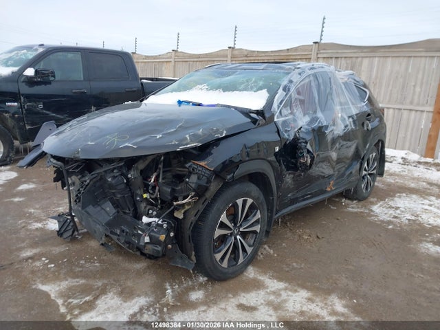 JTJBARBZ6K2181891 Lexus NX 300