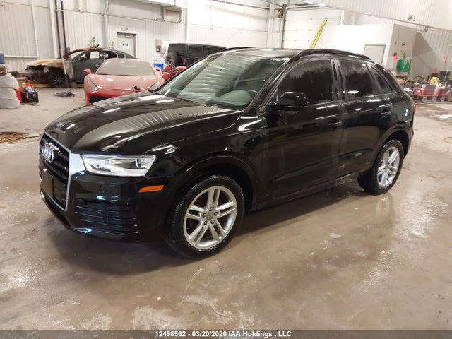 Продаж на аукціоні авто 2018 Audi Q3 Premium, vin: WA1ECCFS4JR033954, номер лоту: 12498562