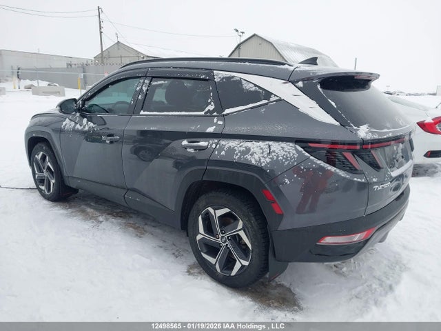 KM8JCCA11PU100675 Hyundai Tucson Ultimate Hybrid Awd