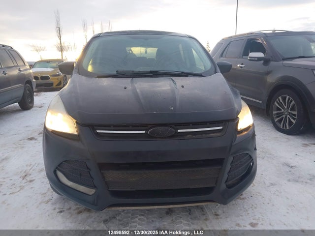 Ford ESCAPE SE 2014 1FMCU0GX9EUD75322 Image 12