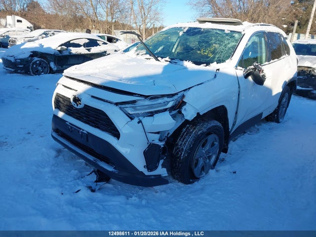 2T3R1RFV1SW608782 Toyota Rav4 Xle