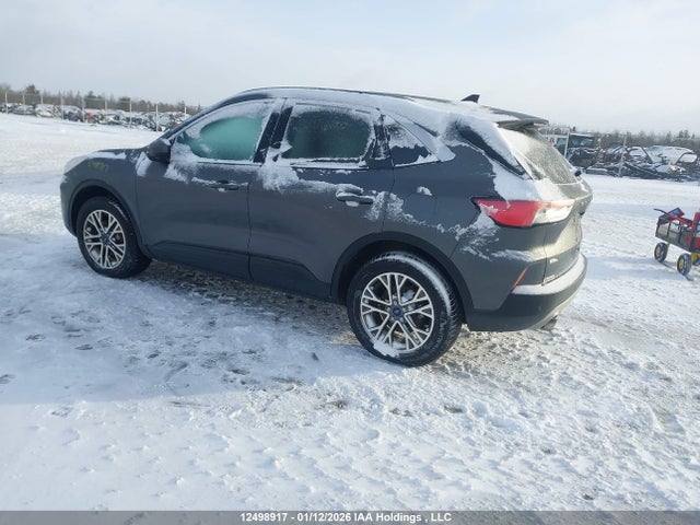 Продажа на аукционе авто 2020 Ford Escape Sel, vin: 1FMCU9H60LUC31701, номер лота: 12498917