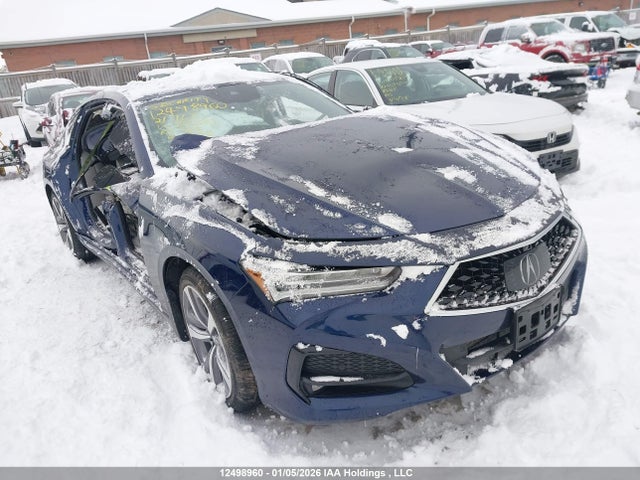 19UUB6F9XMA802643 Acura Tlx Platinum Elite