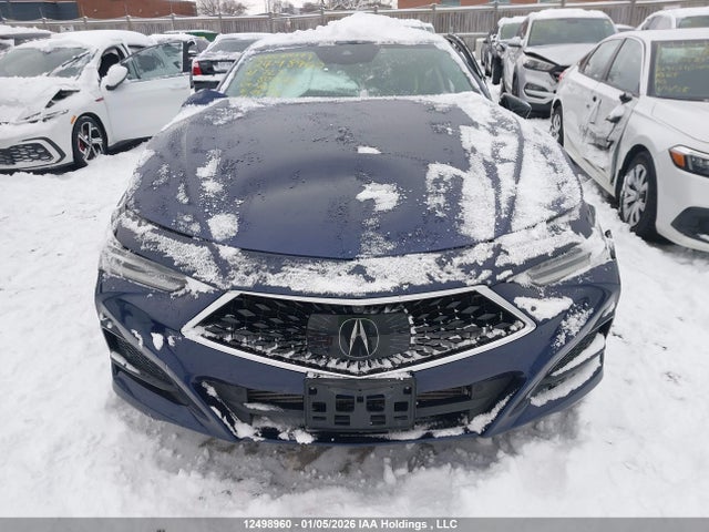 19UUB6F9XMA802643 Acura Tlx Platinum Elite