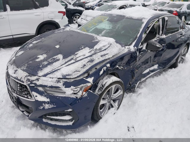 19UUB6F9XMA802643 Acura Tlx Platinum Elite