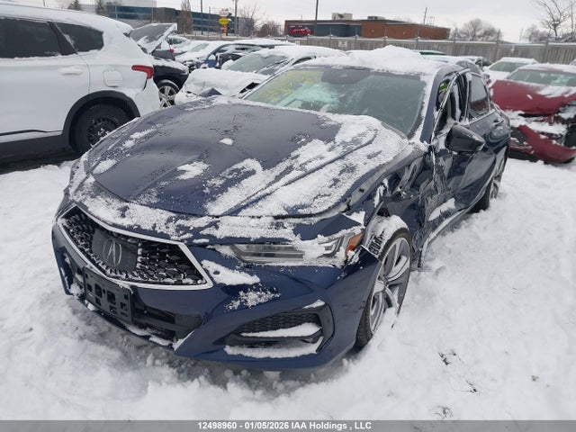 19UUB6F9XMA802643 Acura Tlx Platinum Elite