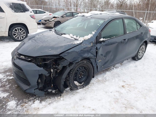 12499067 :رقم المزاد ، 2T1BURHE4KC247015 vin ، 2019 Toyota Corolla مزاد بيع