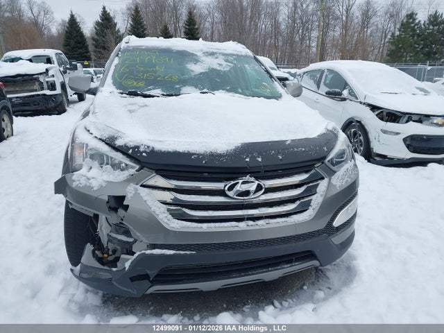 5XYZUDLB9GG315268 Hyundai Santa Fe