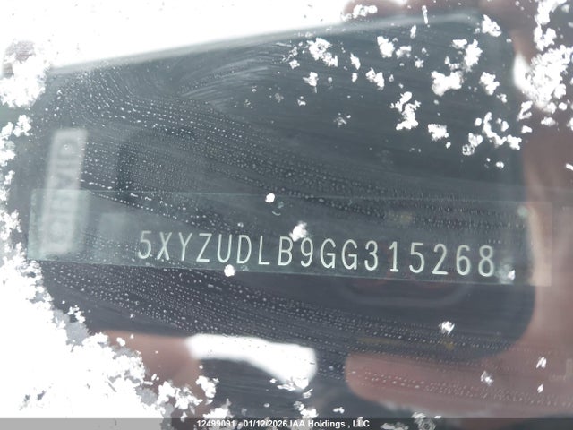 5XYZUDLB9GG315268 Hyundai Santa Fe
