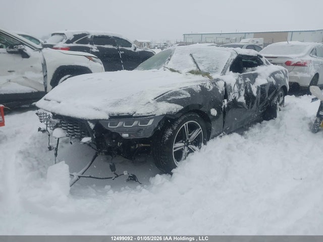 12499092 :رقم المزاد ، 1FAGP8UH2R5133986 vin ، 2024 Ford Mustang مزاد بيع