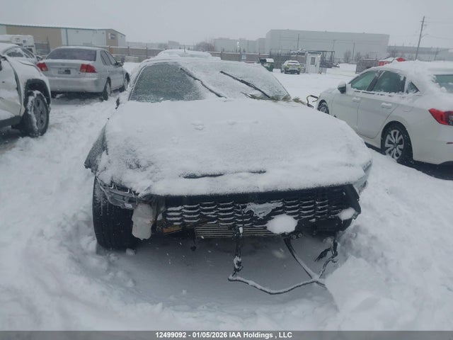12499092 :رقم المزاد ، 1FAGP8UH2R5133986 vin ، 2024 Ford Mustang مزاد بيع