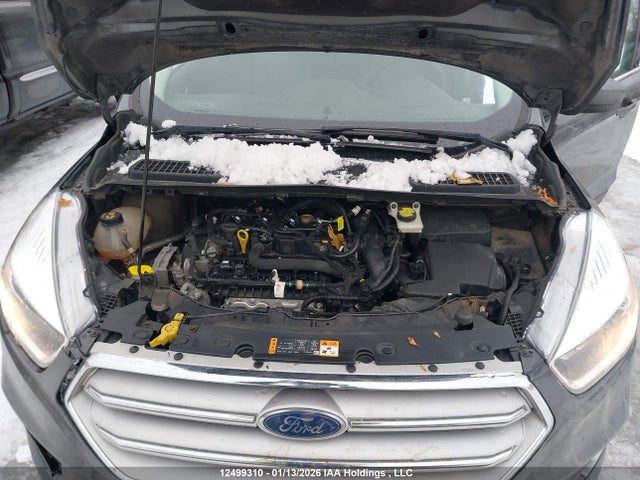 Продаж на аукціоні авто 2019 Ford Escape Se, vin: 1FMCU9GD4KUB40901, номер лоту: 12499310