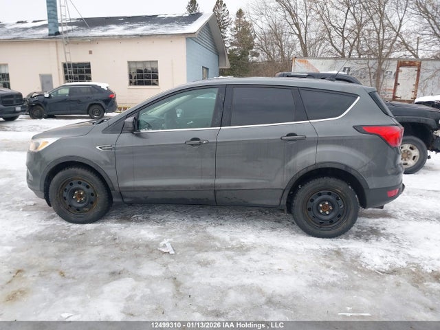 Продаж на аукціоні авто 2019 Ford Escape Se, vin: 1FMCU9GD4KUB40901, номер лоту: 12499310