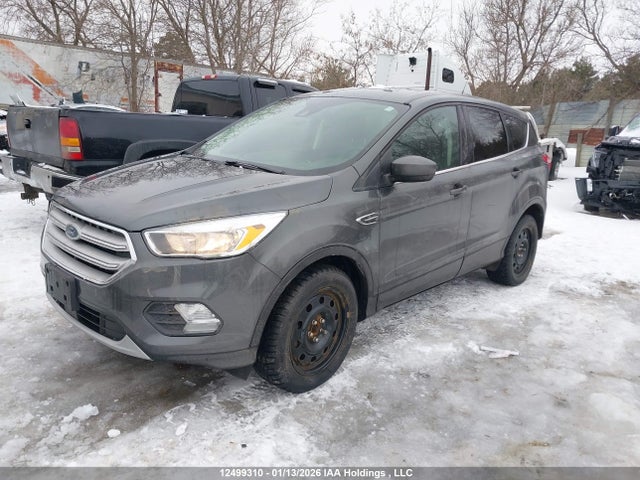 Продаж на аукціоні авто 2019 Ford Escape Se, vin: 1FMCU9GD4KUB40901, номер лоту: 12499310