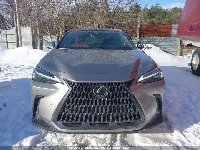 Lexus Nx 350 Premium 2024 2T2GGCEZ2RC059990 Image 12