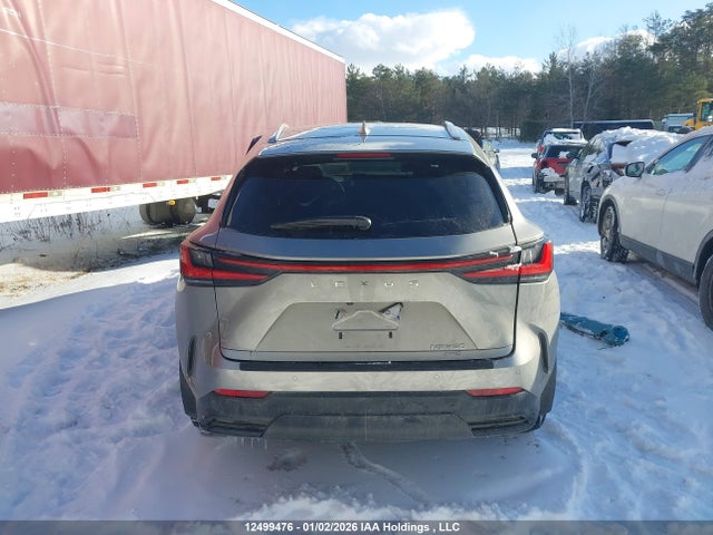 Lexus Nx 350 Premium 2024 2T2GGCEZ2RC059990 Image 16