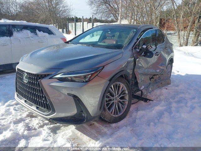 2T2GGCEZ2RC059990 Lexus Nx 350 Premium
