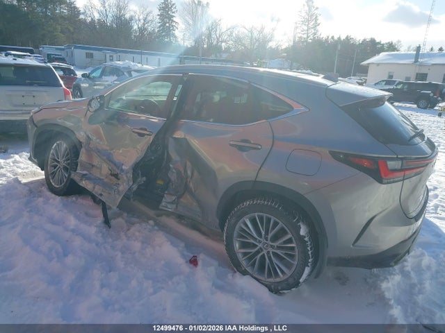 Lexus Nx 350 Premium 2024 2T2GGCEZ2RC059990 Image 3