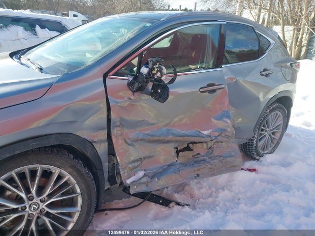 Lexus Nx 350 Premium 2024 2T2GGCEZ2RC059990 Image 6