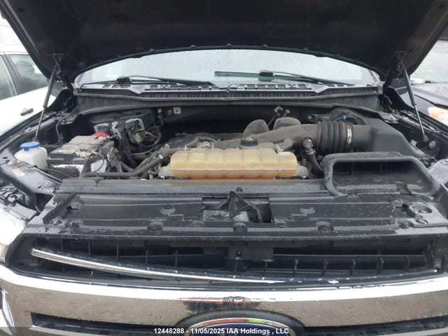 Продаж на аукціоні авто 2019 Ford F-150 Xlt, vin: 1FTEW1EB9KFB51939, номер лоту: 12448288