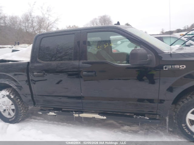 Продаж на аукціоні авто 2019 Ford F-150 Xlt, vin: 1FTEW1EB9KFB51939, номер лоту: 12448288