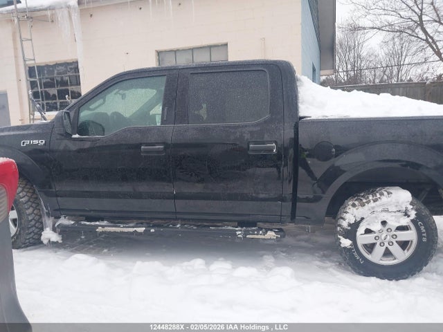 Продаж на аукціоні авто 2019 Ford F-150 Xlt, vin: 1FTEW1EB9KFB51939, номер лоту: 12448288