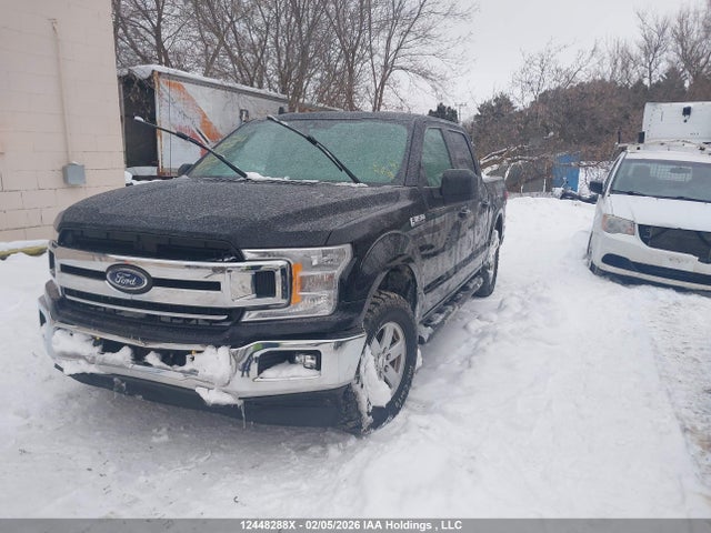 Продаж на аукціоні авто 2019 Ford F-150 Xlt, vin: 1FTEW1EB9KFB51939, номер лоту: 12448288