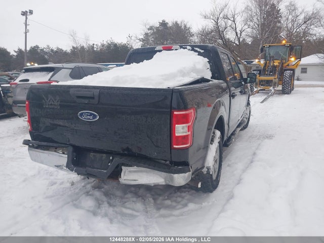 Продаж на аукціоні авто 2019 Ford F-150 Xlt, vin: 1FTEW1EB9KFB51939, номер лоту: 12448288