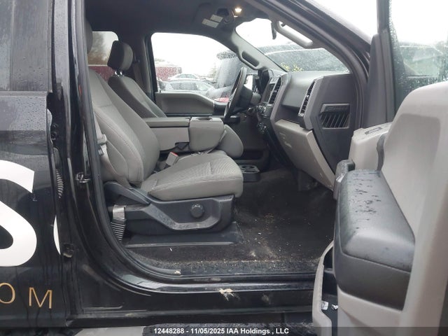Продаж на аукціоні авто 2019 Ford F-150 Xlt, vin: 1FTEW1EB9KFB51939, номер лоту: 12448288