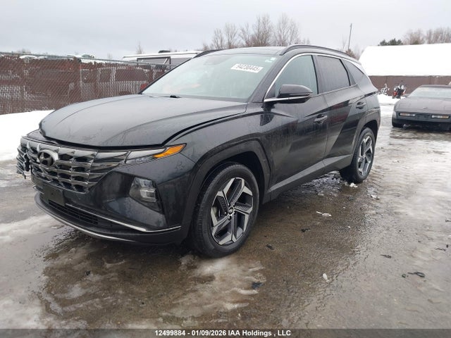 KM8JCCA1XPU132265 Hyundai Tucson Ultimate Hybrid Awd