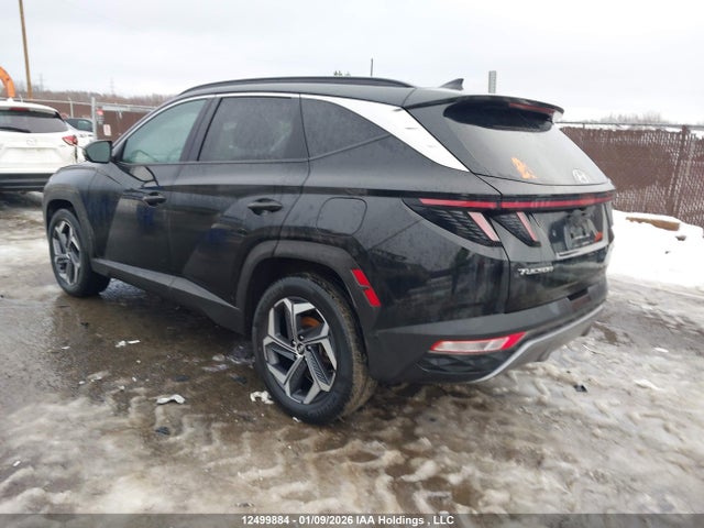 KM8JCCA1XPU132265 Hyundai Tucson Ultimate Hybrid Awd