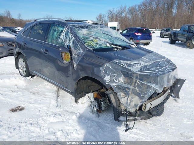2T2BK1BA5FC273332 Lexus Rx 350/base/f Sport