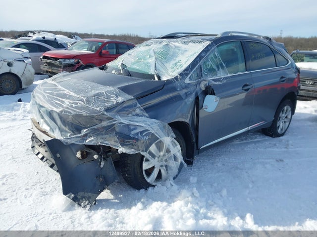 2T2BK1BA5FC273332 Lexus Rx 350/base/f Sport