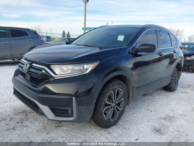 2HKRW2H81LH201294 Honda CR-V EXL
