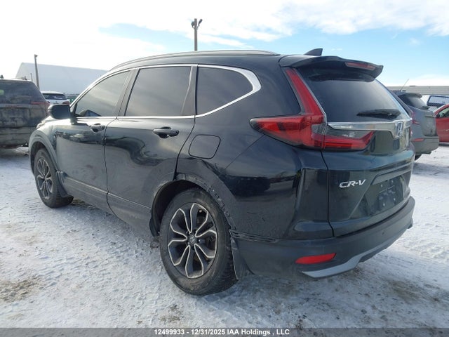 2HKRW2H81LH201294 Honda CR-V EXL