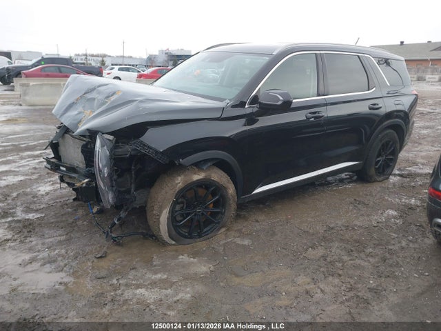 KM8R3DHE8LU029485 Hyundai Palisade Sel