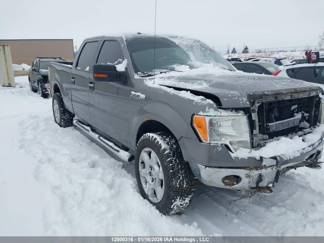 1FTFW1EF3EKG26519 Ford F-150 Xlt