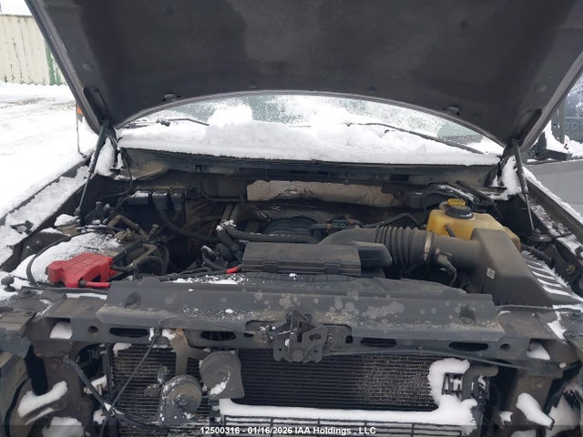 1FTFW1EF3EKG26519 Ford F-150 Xlt