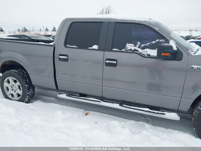 1FTFW1EF3EKG26519 Ford F-150 Xlt