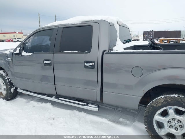 1FTFW1EF3EKG26519 Ford F-150 Xlt