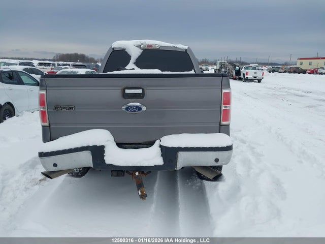 1FTFW1EF3EKG26519 Ford F-150 Xlt