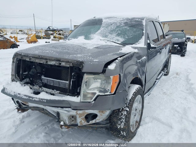 1FTFW1EF3EKG26519 Ford F-150 Xlt