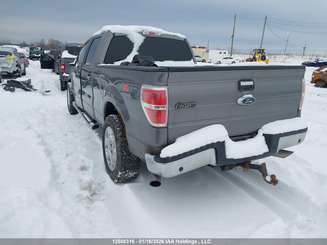 1FTFW1EF3EKG26519 Ford F-150 Xlt