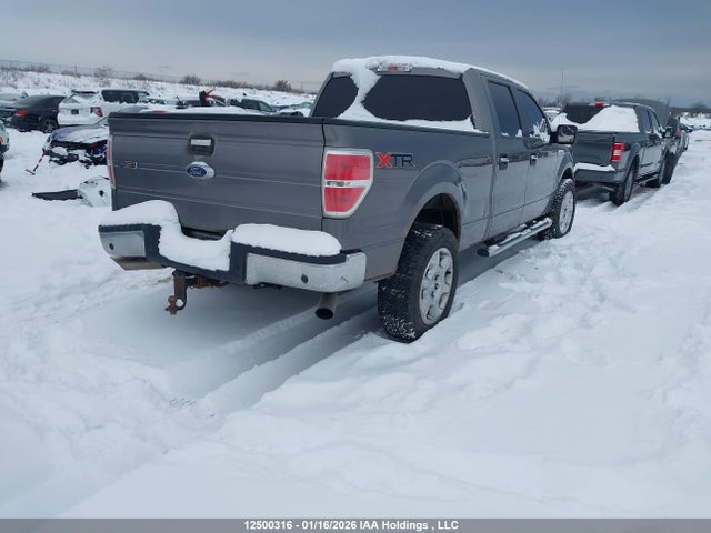 1FTFW1EF3EKG26519 Ford F-150 Xlt
