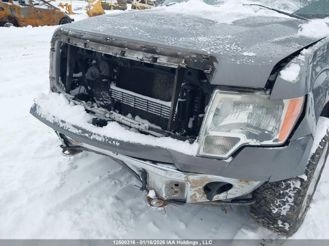 1FTFW1EF3EKG26519 Ford F-150 Xlt